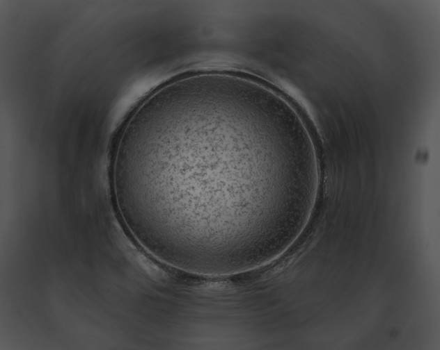 X0000091651464200708301409