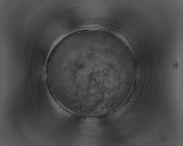 X0000091651466200708301409