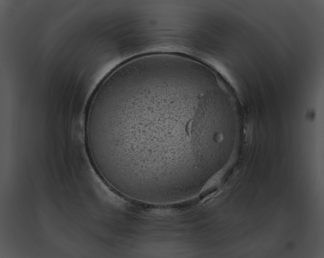 X0000091651468200708301409