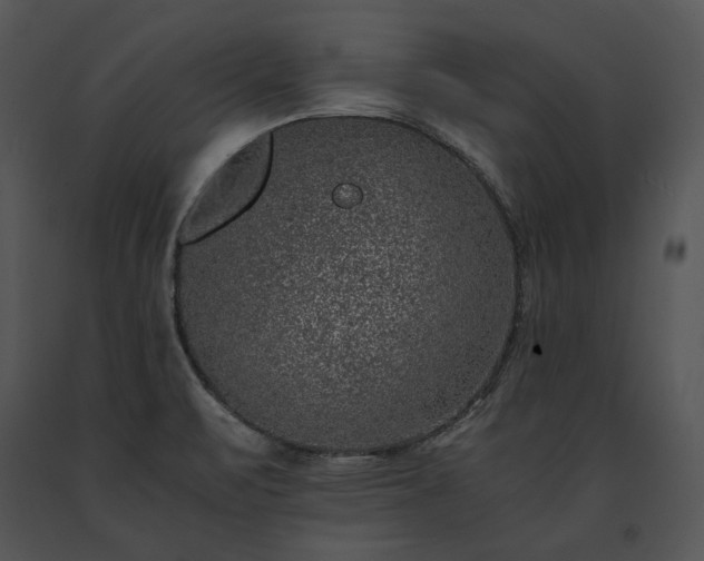 X0000091651471200708301409