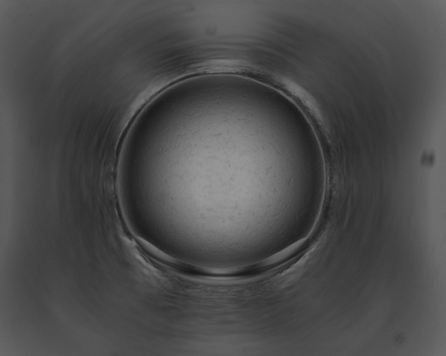X0000091651473200708301409