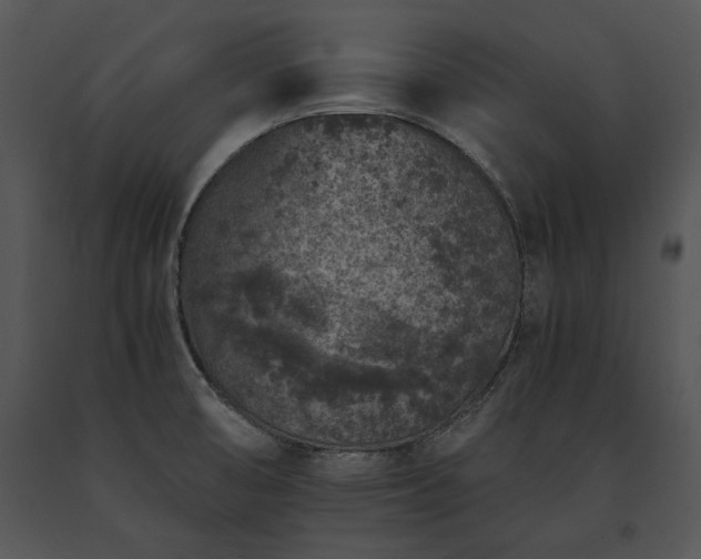 X0000091651474200708301409