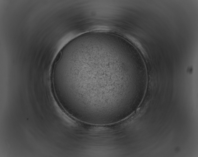 X0000091651475200708301409