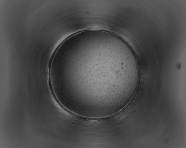 X0000091651476200708301409