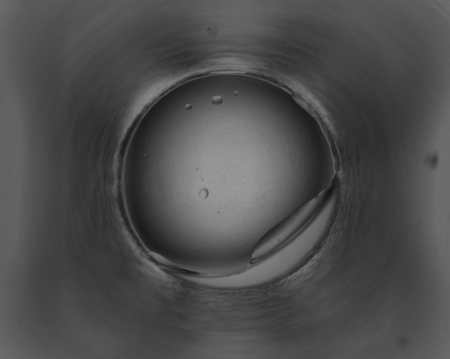 X0000091651477200708301409