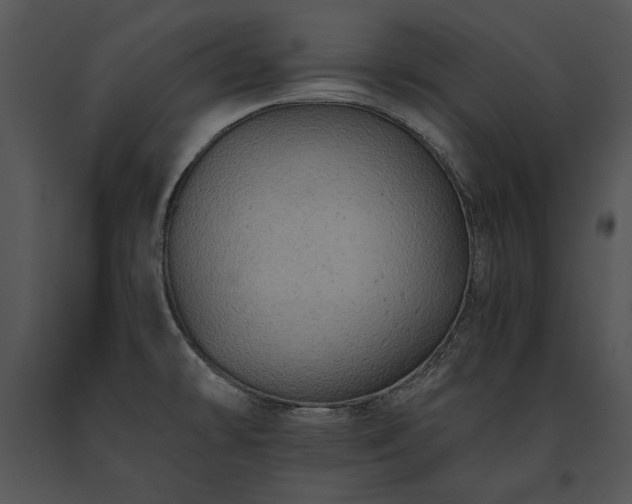 X0000091651478200708301409