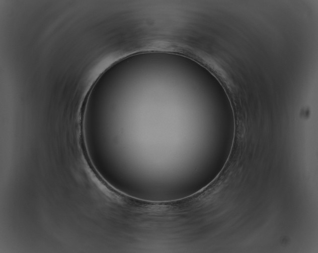 X0000091651479200708301409