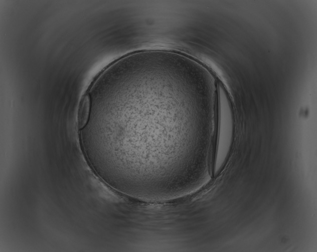 X0000091651480200708301409