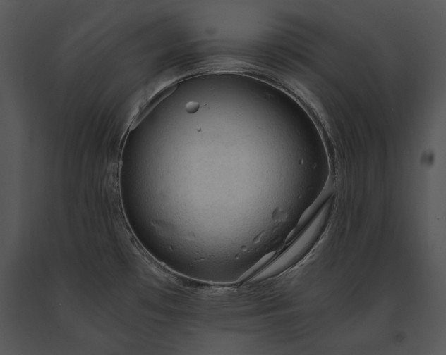 X0000091651481200708301409