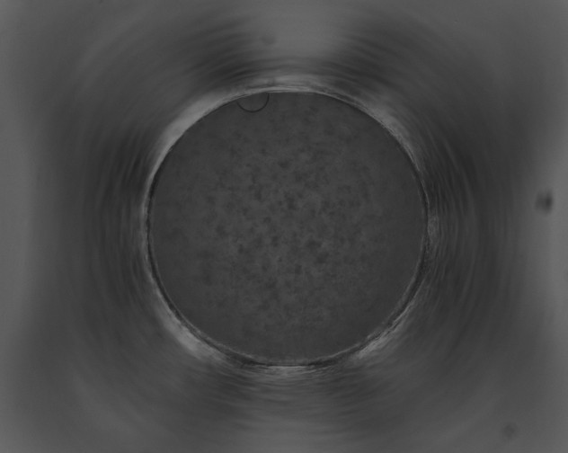 X0000091651482200708301409
