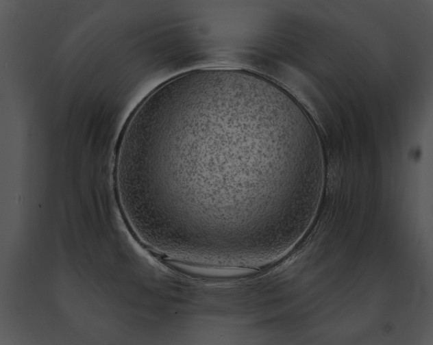 X0000091651484200708301409