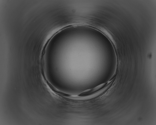 X0000091651485200708301409