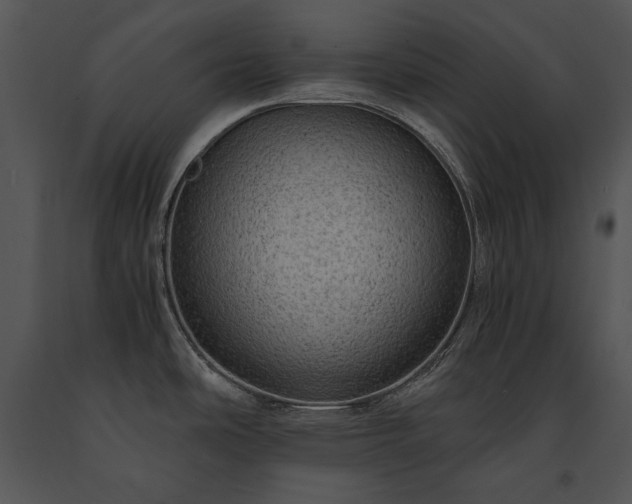 X0000091651486200708301409