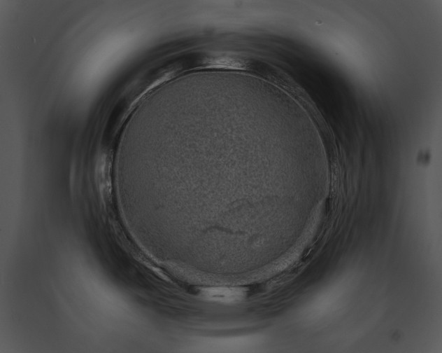 X0000091651487200708301409