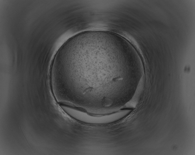 X0000091651488200708301409