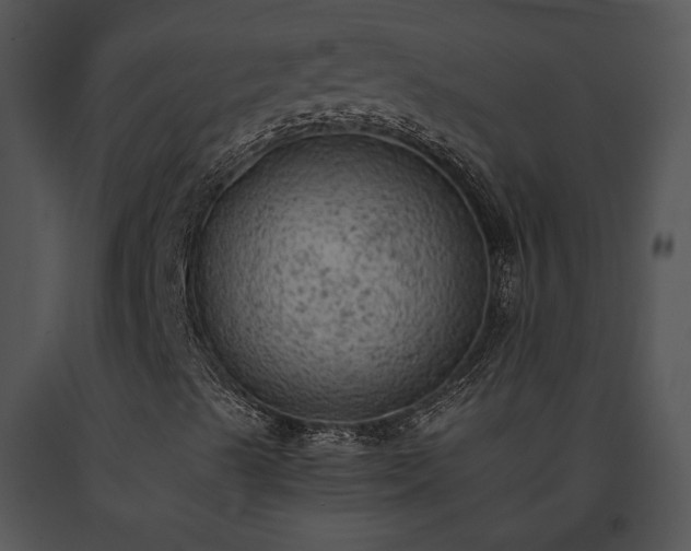 X0000091651489200708301408