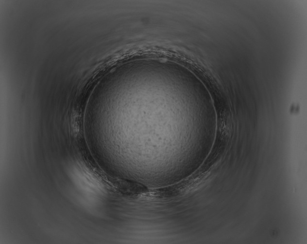 X0000091651490200708301408