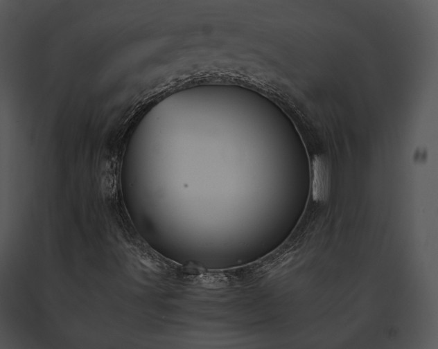 X0000091651491200708301408