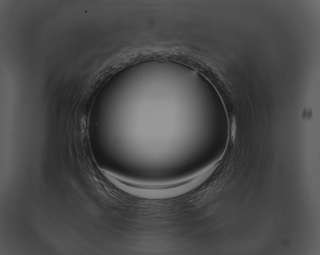 X0000091651492200708301408