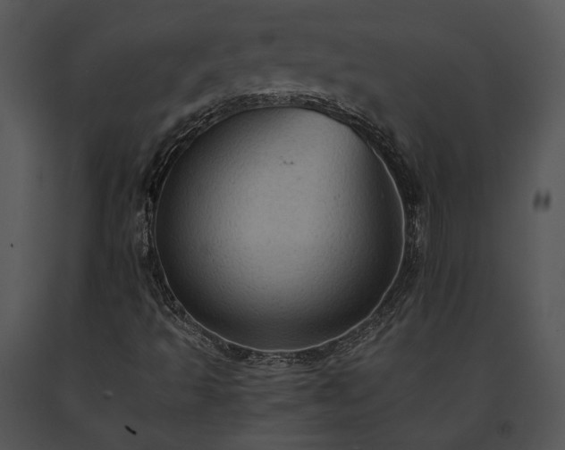 X0000091651493200708301408