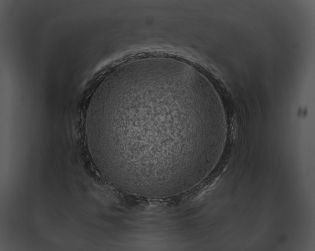 X0000091651494200708301408