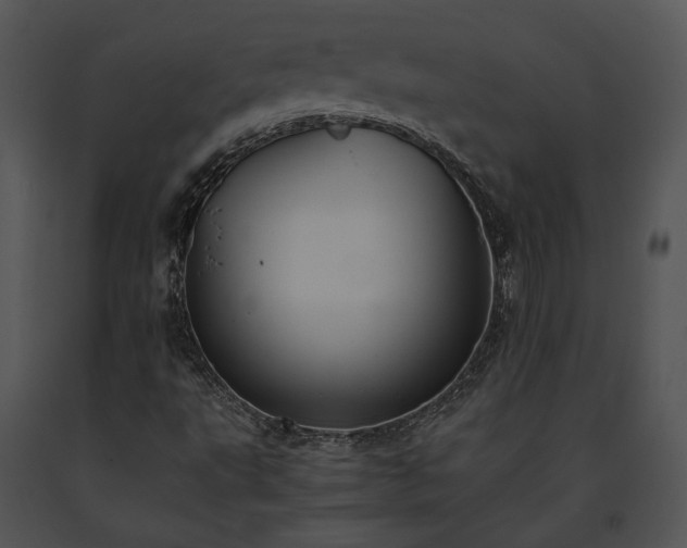 X0000091651495200708301408
