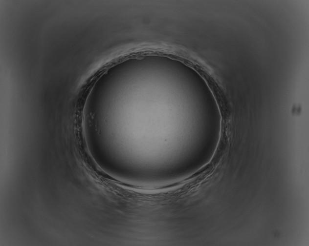 X0000091651496200708301408