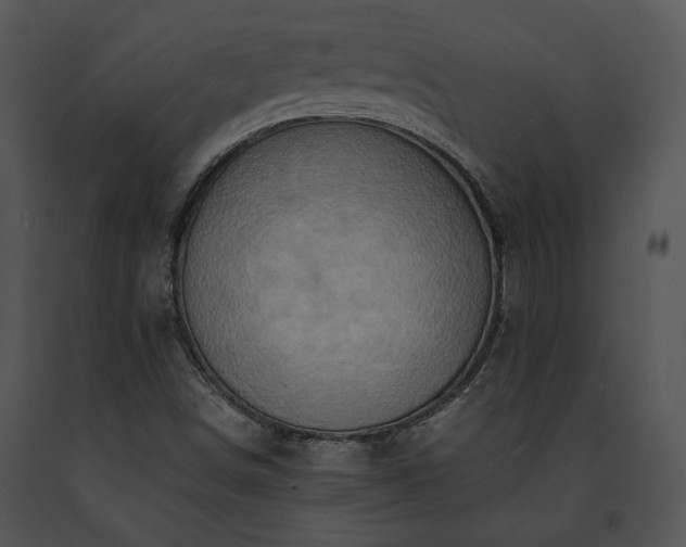 X0000091651498200708301408