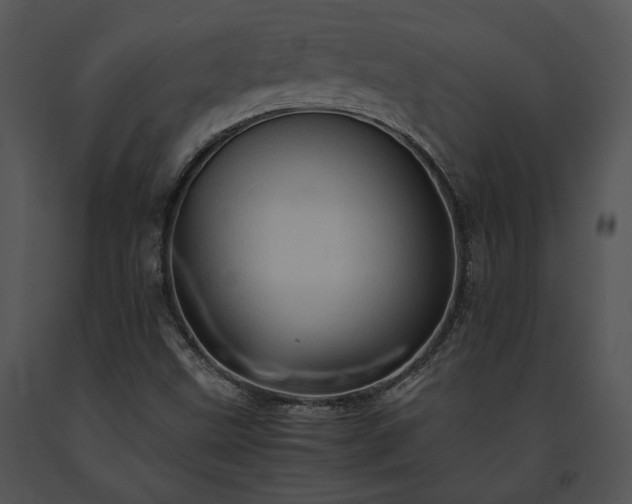 X0000091651499200708301408