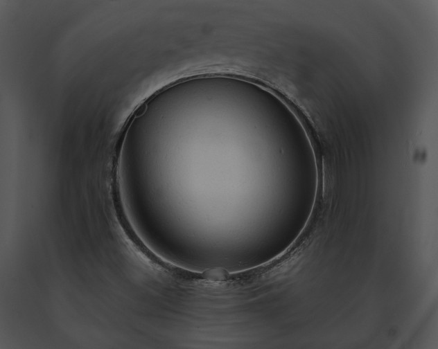 X0000091651500200708301408