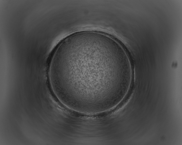 X0000091651501200708301408