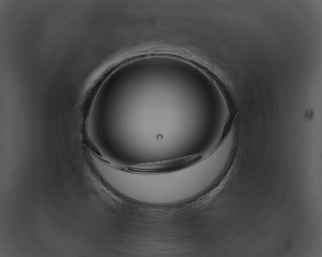 X0000091651502200708301408