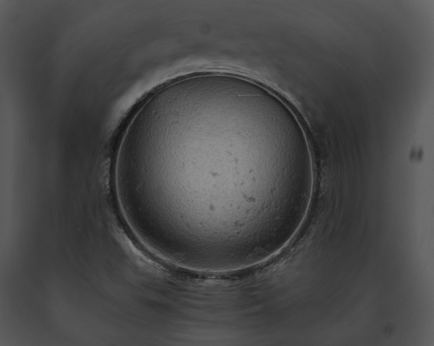 X0000091651503200708301408