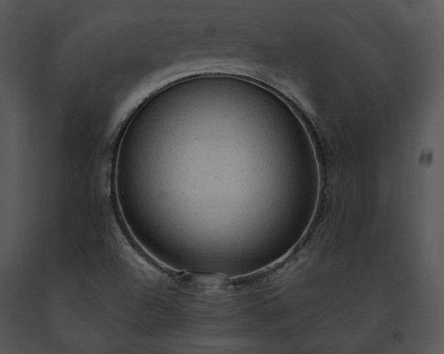 X0000091651504200708301408