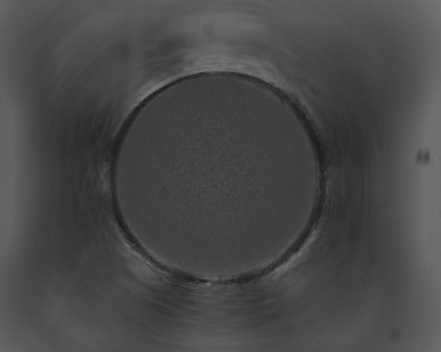 X0000091651505200708301408