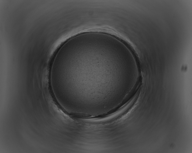 X0000091651506200708301408