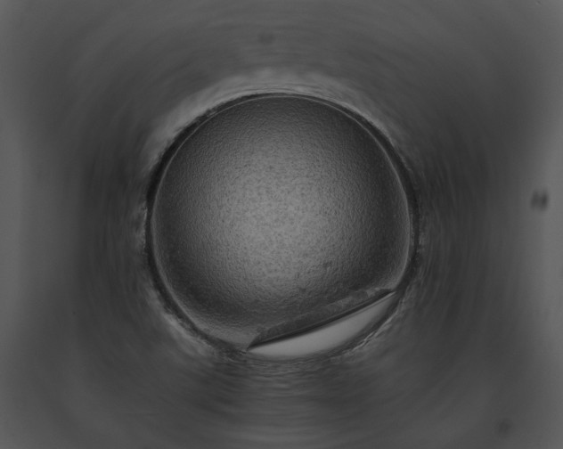 X0000091651507200708301408