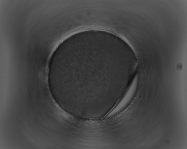 X0000091651508200708301408