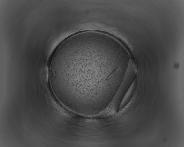 X0000091651509200708301408