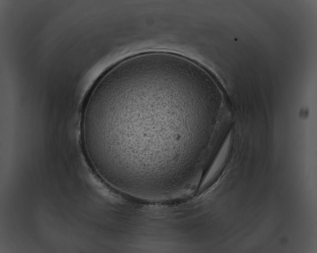 X0000091651511200708301408