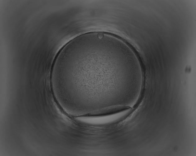 X0000091651513200708301408
