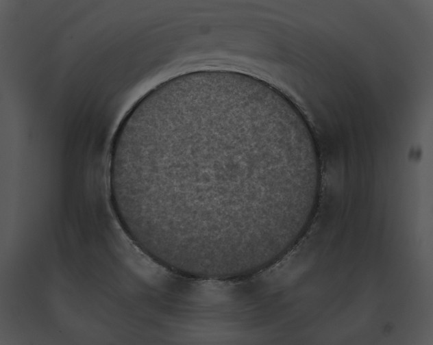 X0000091651514200708301408