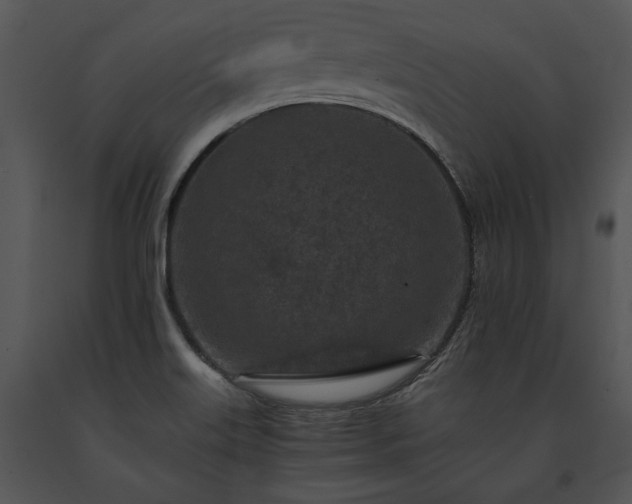 X0000091651515200708301408