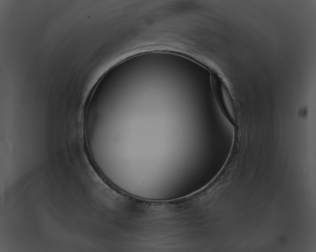 X0000091651516200708301408