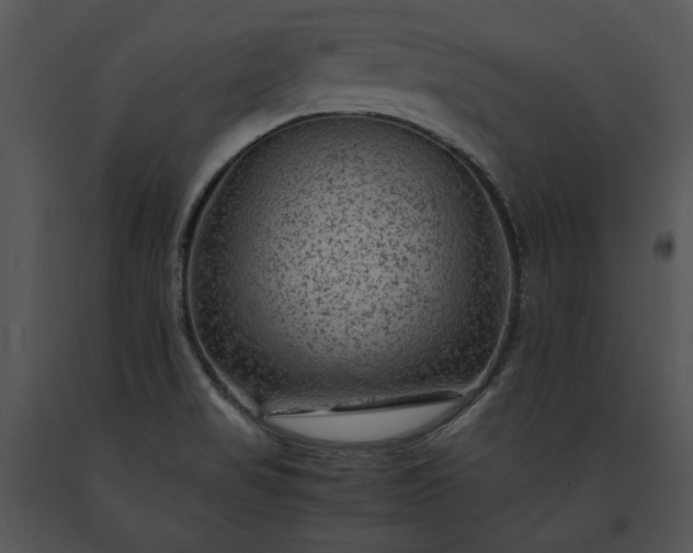X0000091651517200708301408