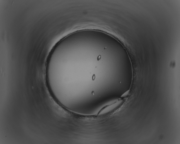X0000091651518200708301408