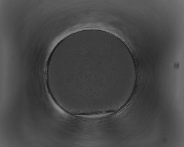 X0000091651519200708301408