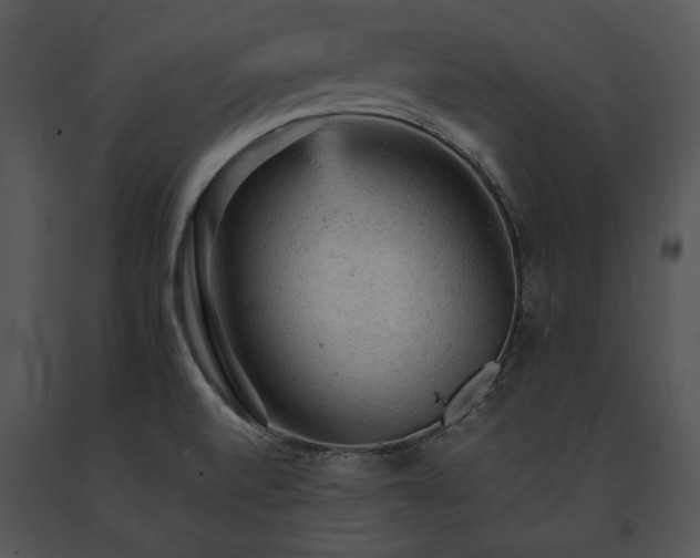 X0000091651520200708301408