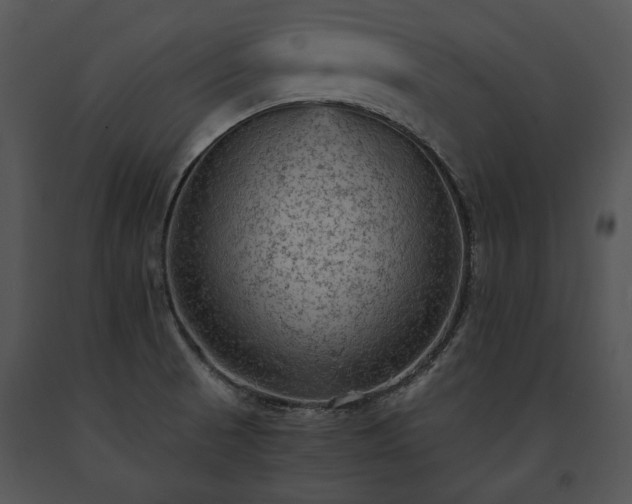 X0000091651521200708301408
