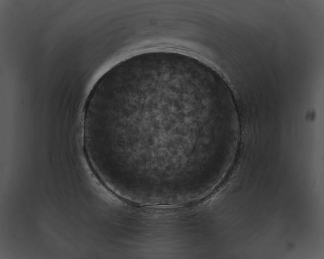 X0000091651522200708301408